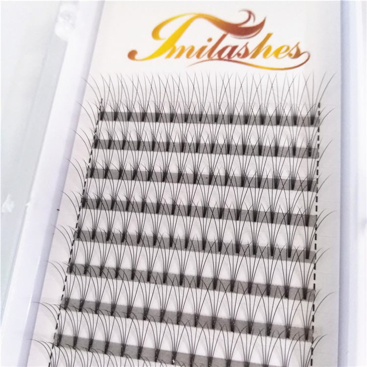 4D premade fan best lash extensions wholesale-V