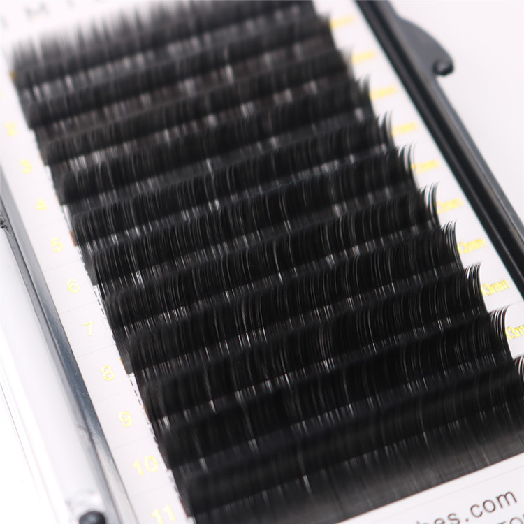 Ellipse eyelash extensions flat lashes trays manufacturer - A