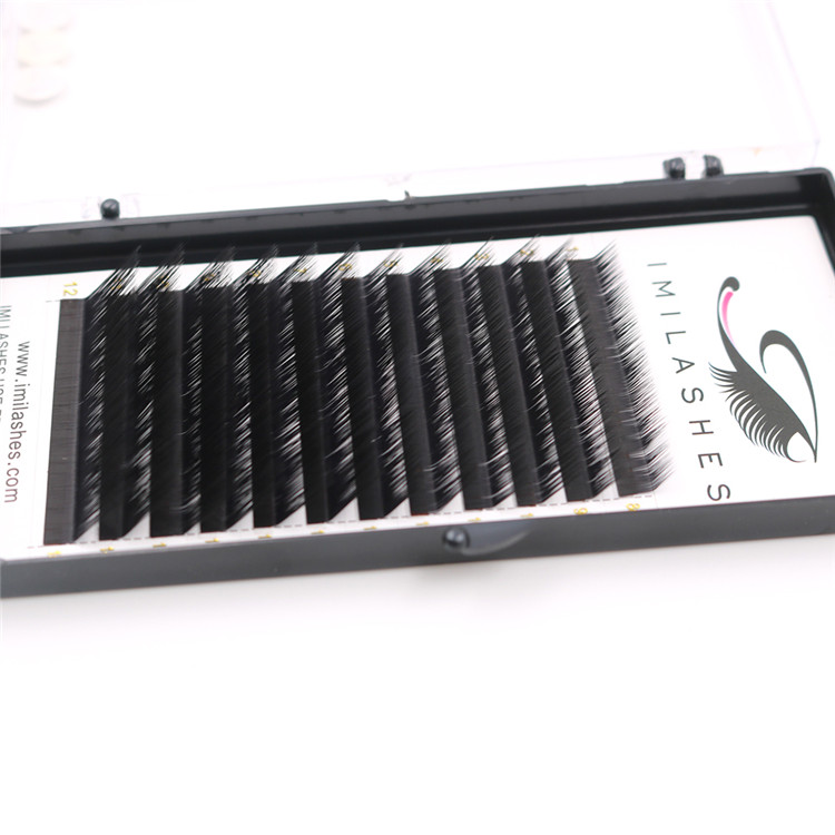 Factory supply private label eye lashes eyelash extension-L