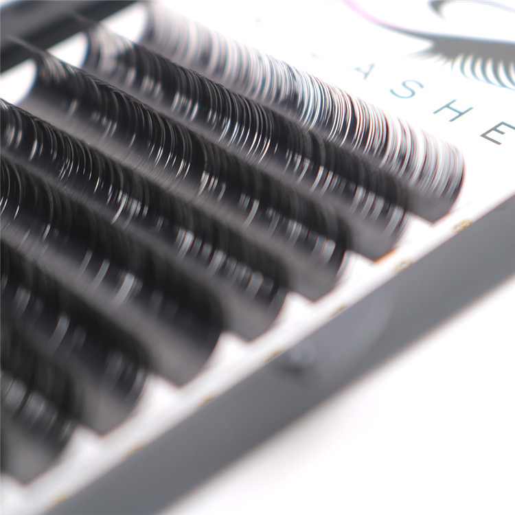 classic-volume-lashes.JPG