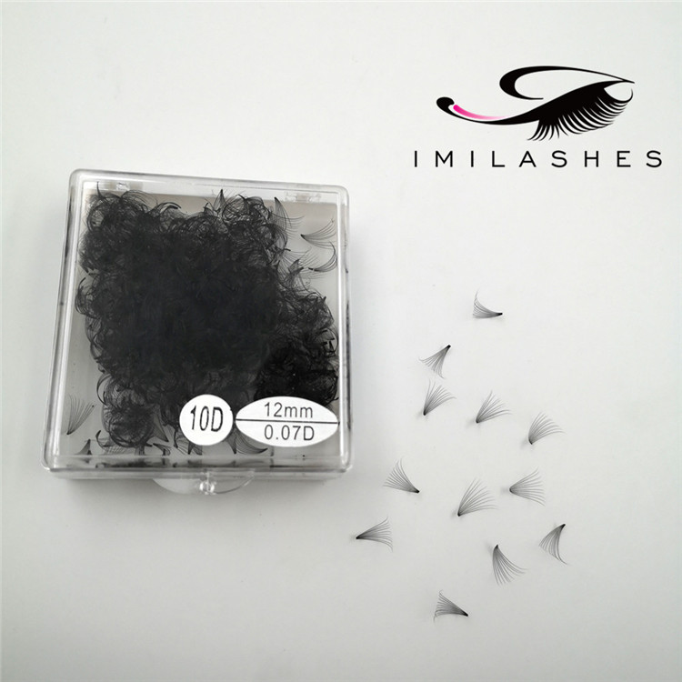 premade-lash-extensions.jpg