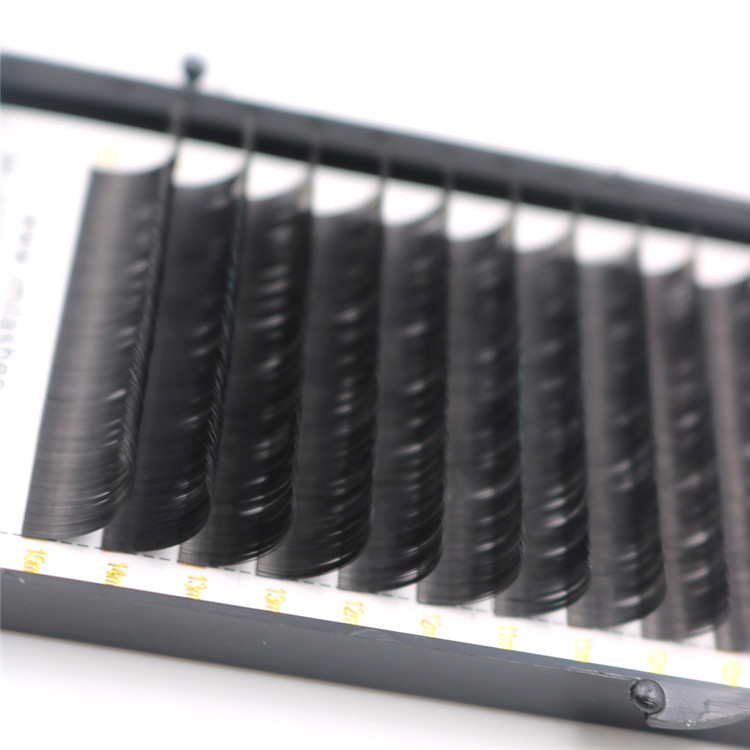 flat-ellipse-lashes-factory.JPG