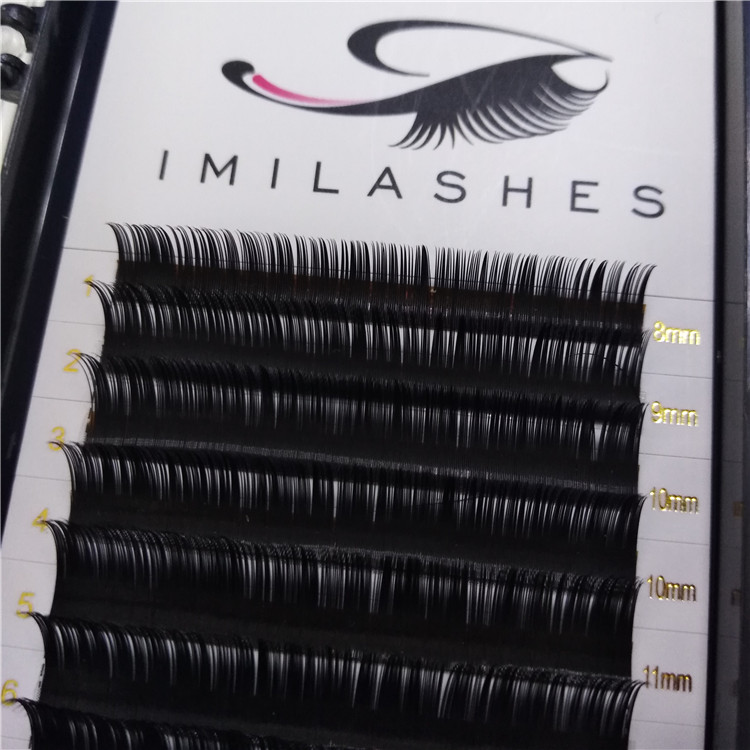 lash-bar.jpg