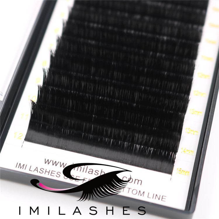 Acclaimed high quality easy fan blooming lashes wholesale-V