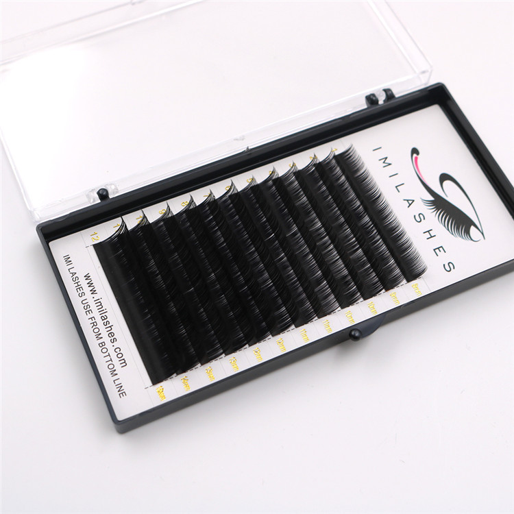 Competitive price high quality lash extensions wholesale-V