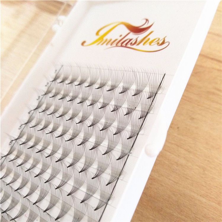 10D Premade fans eyelash extensions wholesale-V