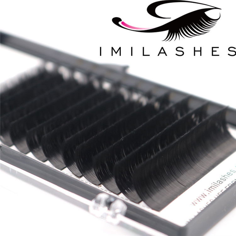 Volume blooming easy fan lash extensions wholesale-V